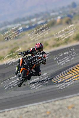 media/Nov-06-2022-SoCal Trackdays (Sun) [[208d2ccc26]]/Turn 11 (10am)/